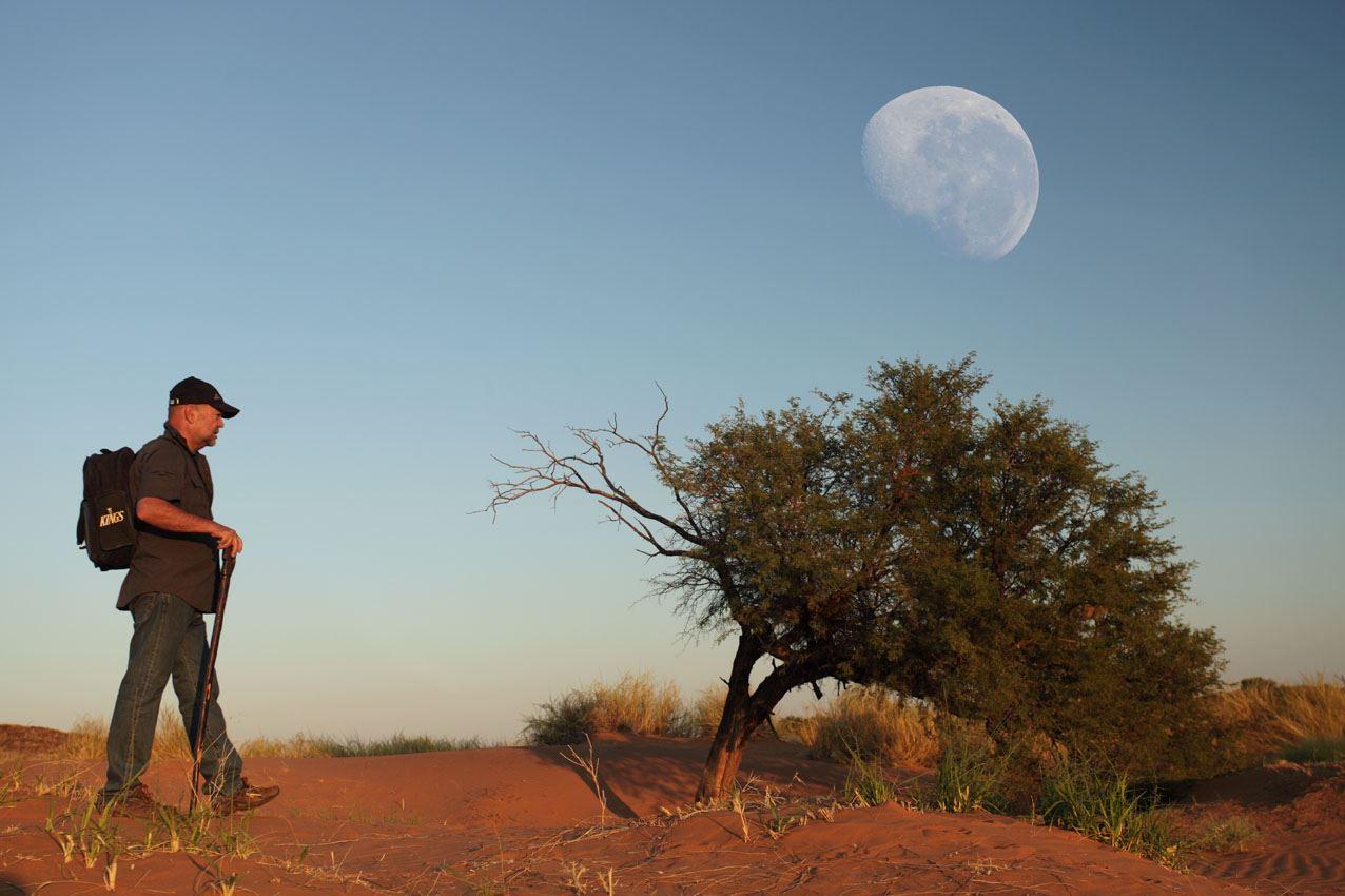 Rostock Ritz Desert Lodge Book Your Dream SelfCatering or Bed and