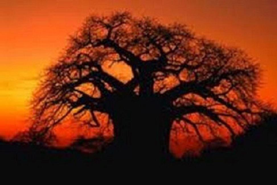 Born Biking Tours | Hoedspruit Accommodation
