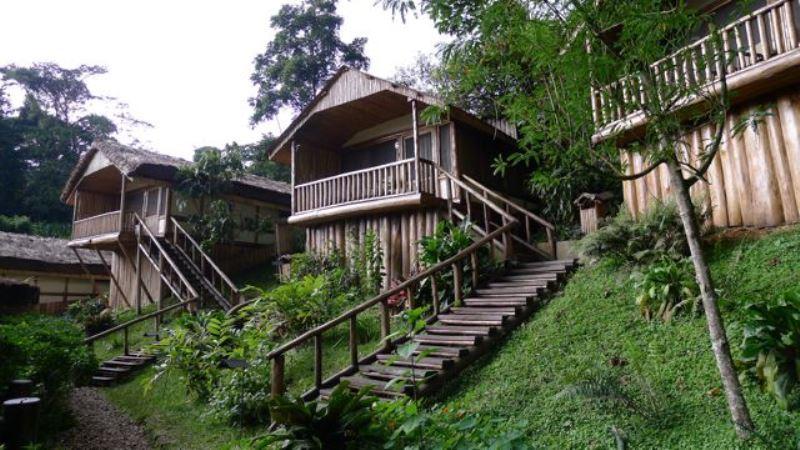 Buhoma Lodge | Accommodation Bwindi Impenetrable National Park