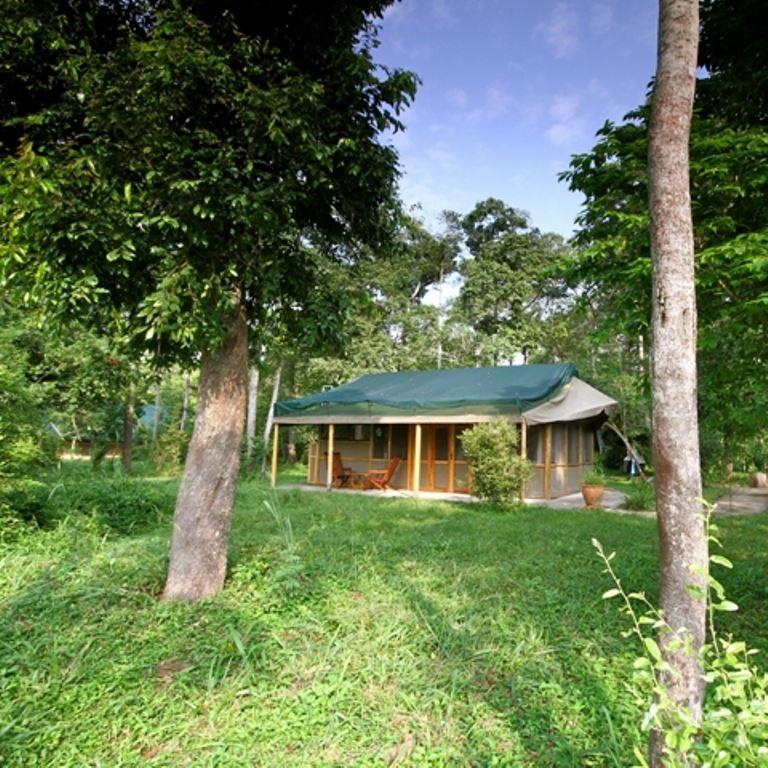 Ishasha Wilderness Camp | Bwindi Impenetrable National Park Accommodation