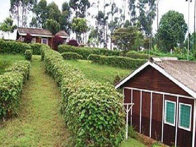 Muchiri's Resort