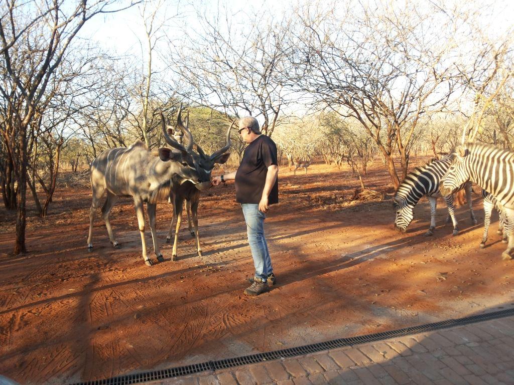 Nyamazane Lodge | Marloth Park Accommodation