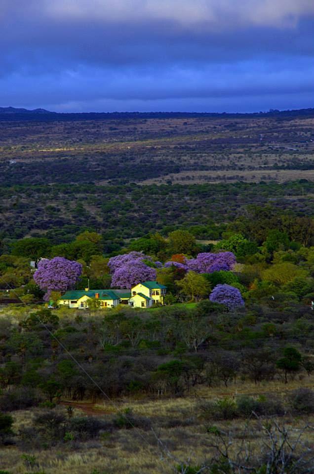 Eduard Farm | Polokwane (Pietersburg) Accommodation