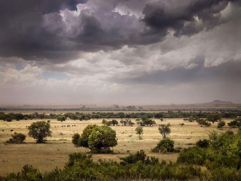 Tredenham Hill Accommodation