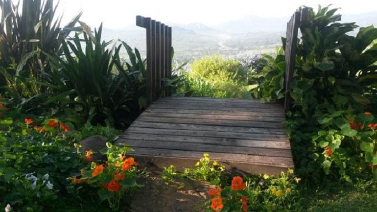 Loerieroep at Nelspruit | Nelspruit Specials