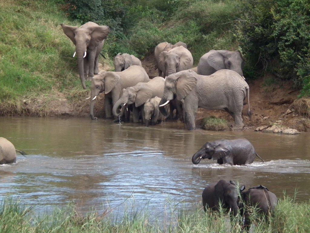 Rio Vista Lodge | Accommodation Malelane