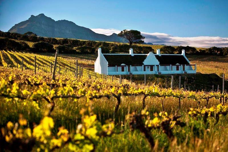 Aaldering Vineyards & Wines | Stellenbosch Accommodation