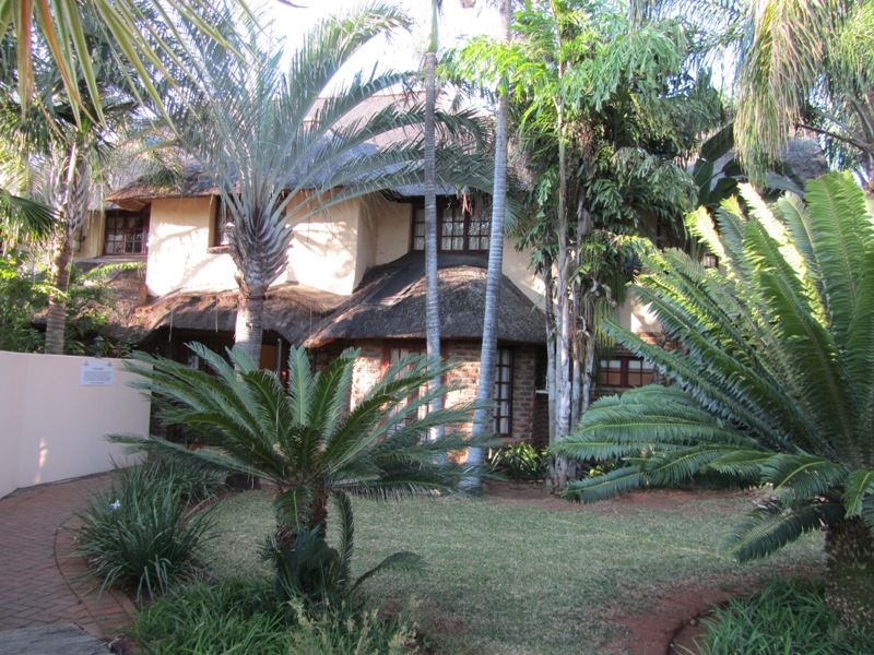 Front view