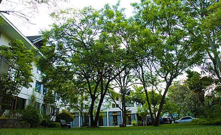 Jacaranda Hotel Nairobi | Hotels Westlands