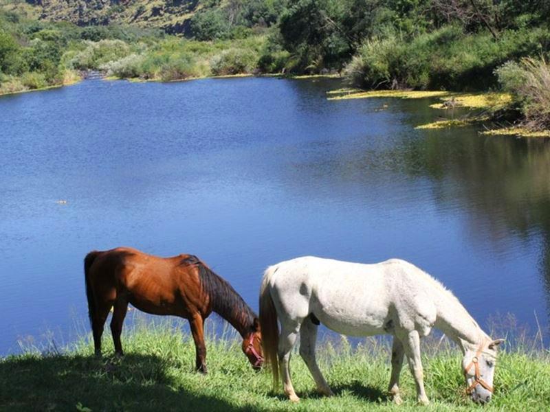 Presidentsrus Accommodation