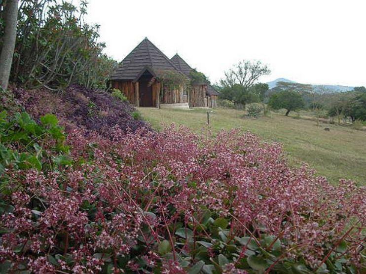 Ngobit River Lodge and Colobus House