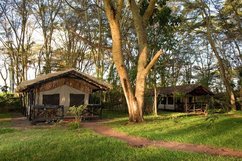 Migunga Tented Camp | Karatu Accommodation