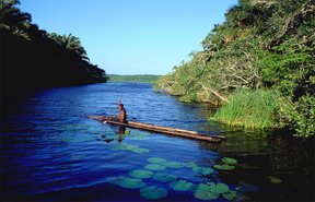 Isimangaliso / Greater St Lucia Wetland