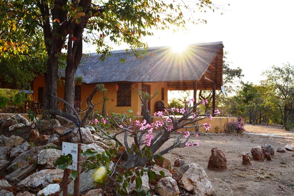 Silonque Bush Estate | Accommodation Phalaborwa