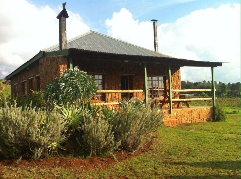 Woolly Bugger Farm