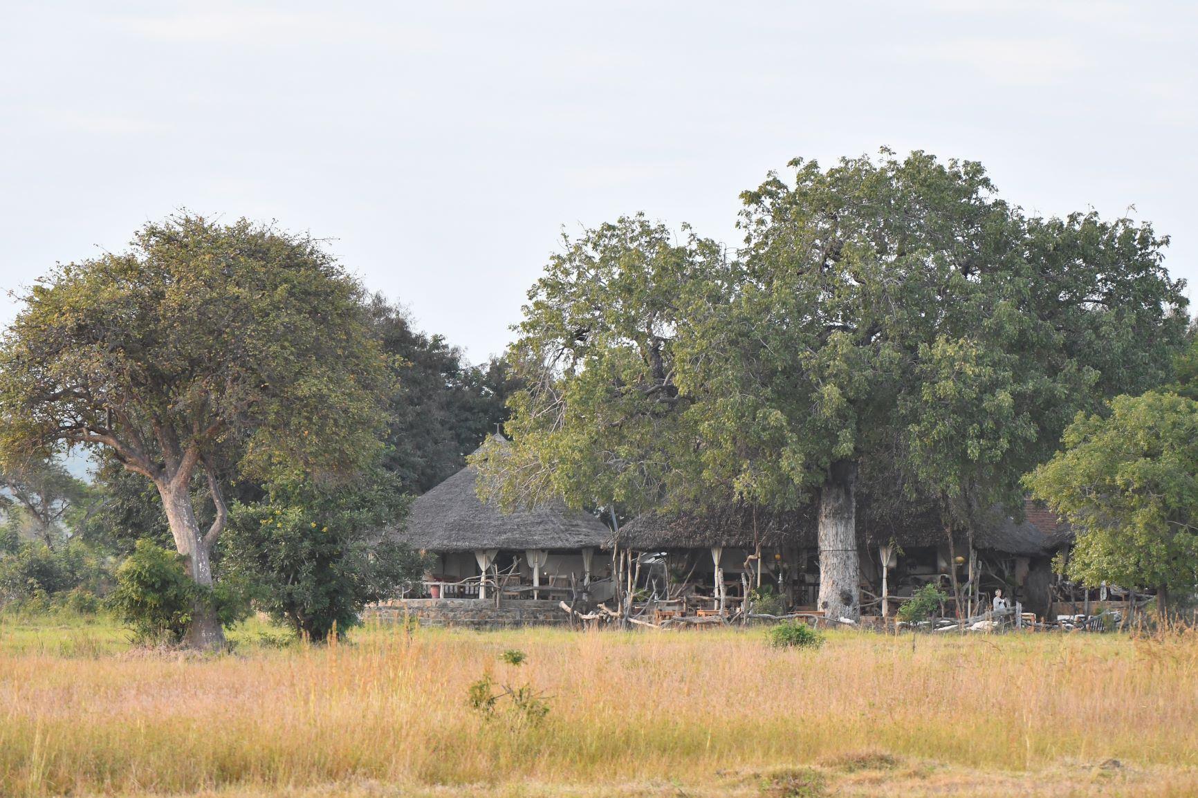 Mikumi Wildlife Camp | Mikumi National Park Specials
