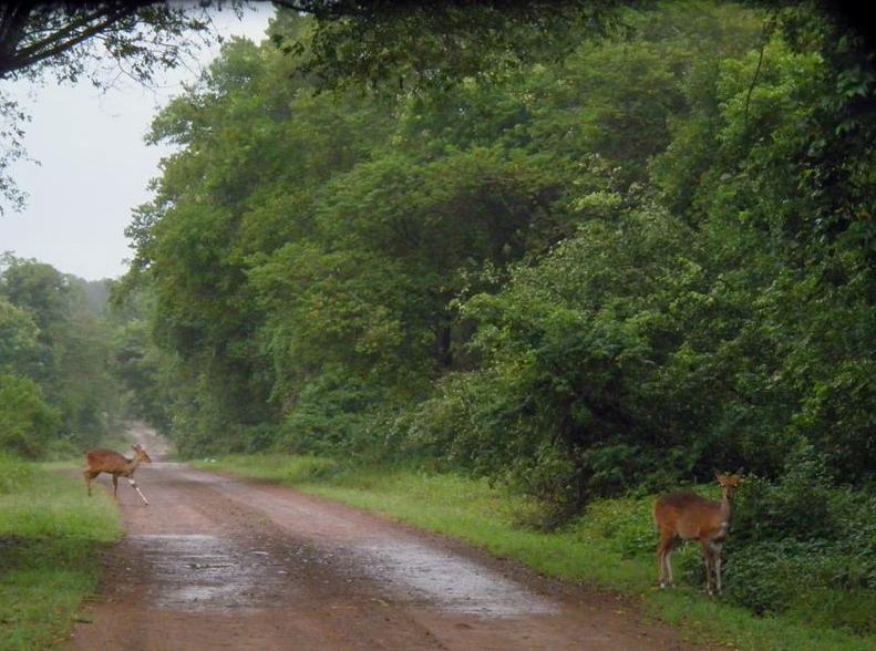 Monzi SH Accommodation