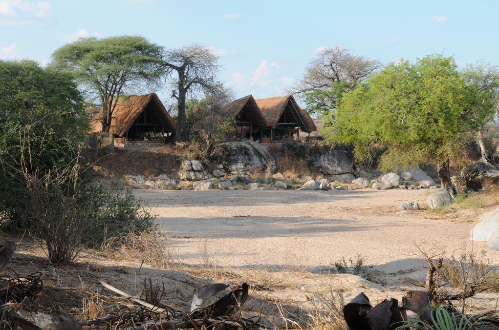Mwagusi Safari Camp | Ruaha National Park Lodges