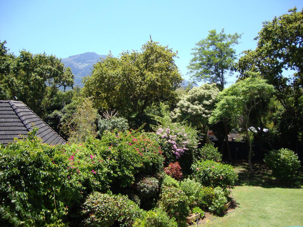 Little House | Constantia Accommodation