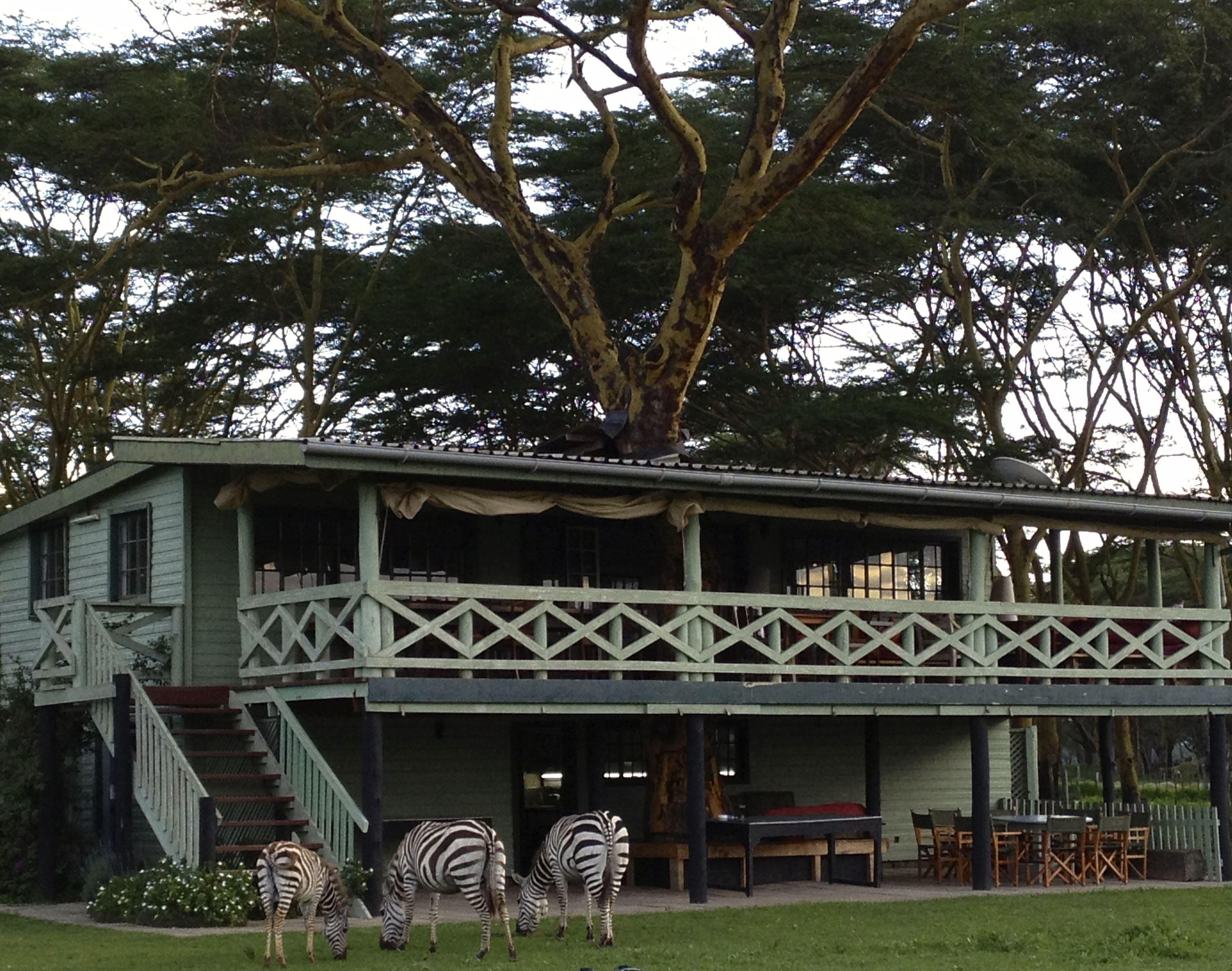 Sanctuary Farm House | Naivasha Accommodation