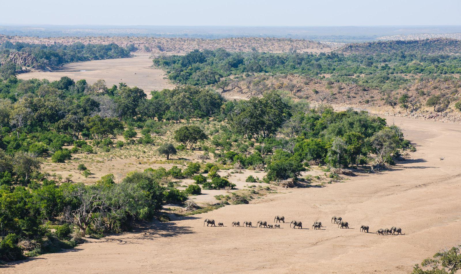 Molema Bush Camp