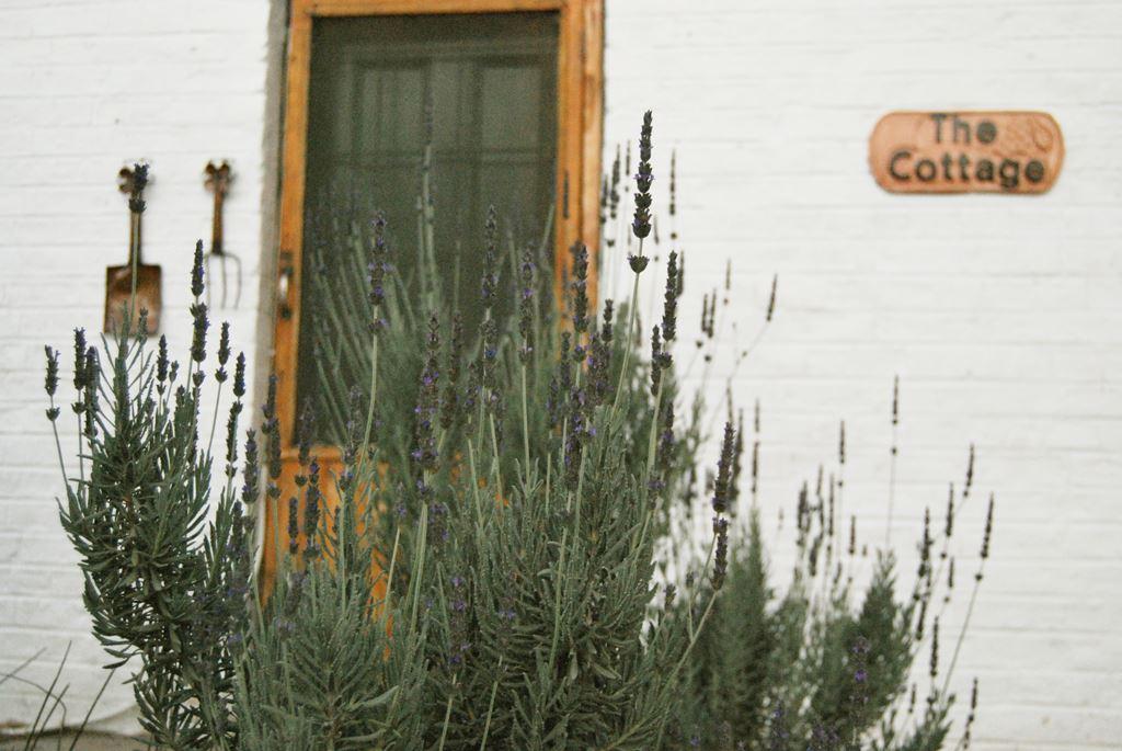 The Cottage | Graaff-Reinet Accommodation