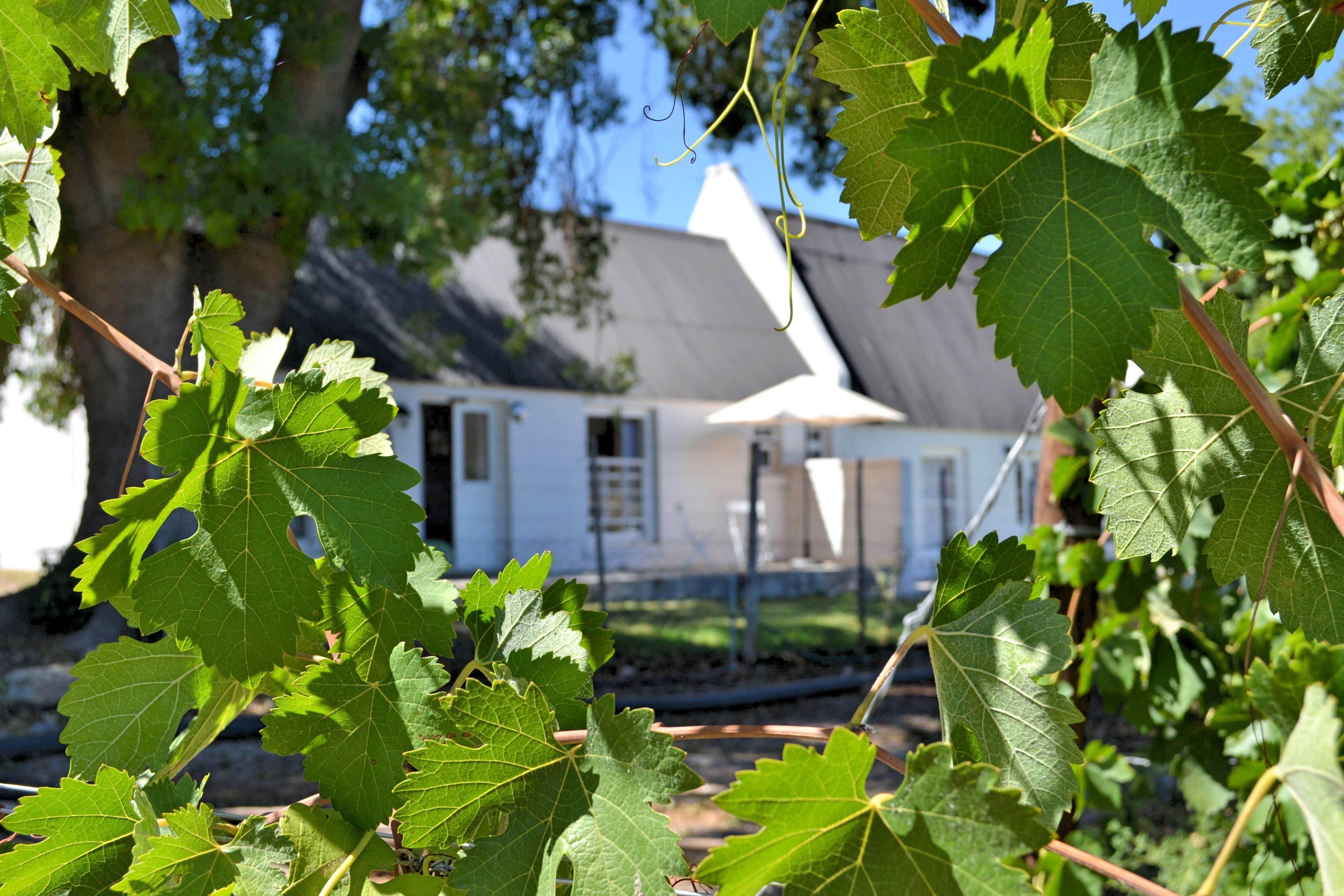 De Kombuys Estate | Oudtshoorn Lodges