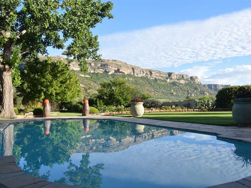 Bokatis Store Guest House