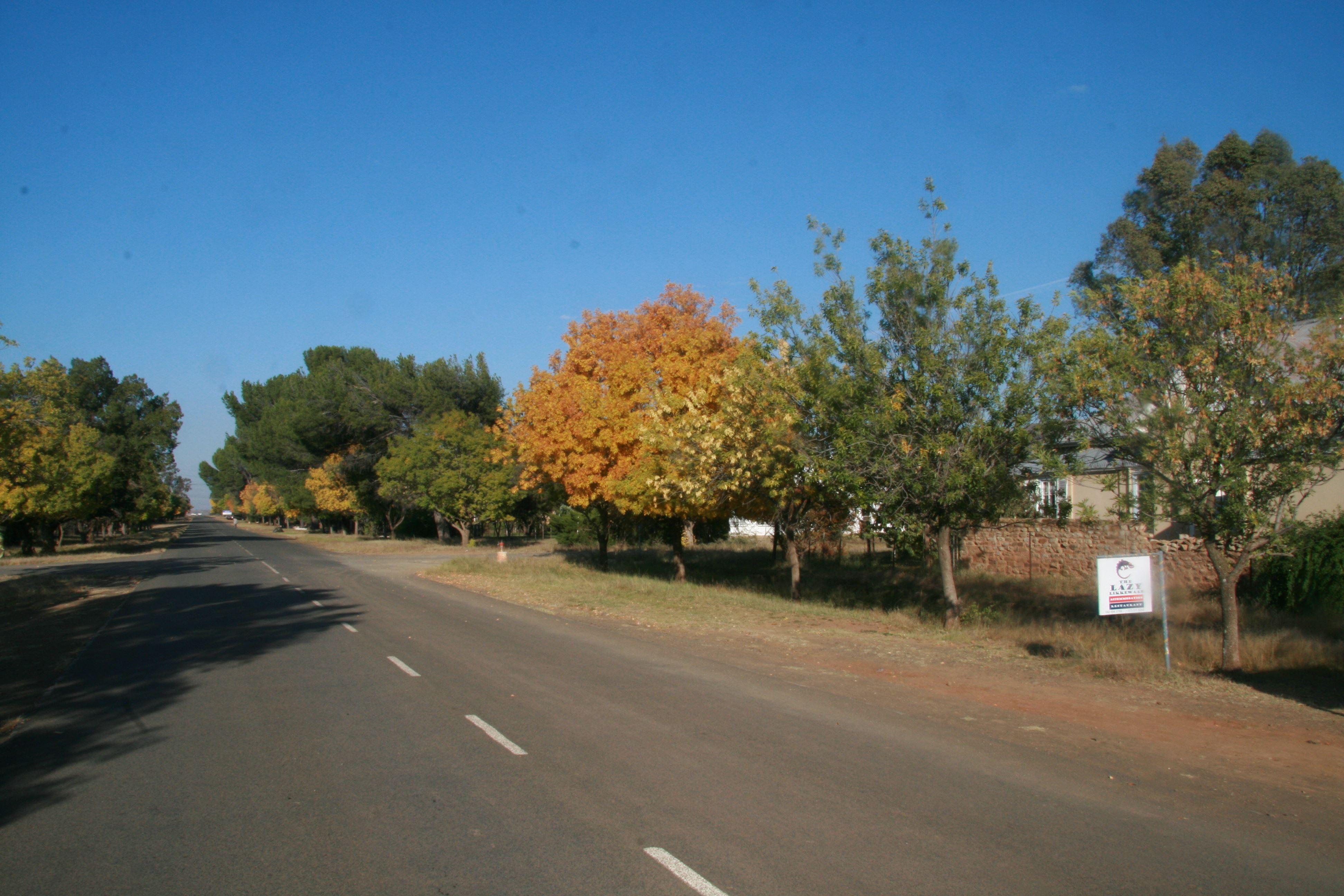 Lazy Likkewaan | Accommodation Smithfield