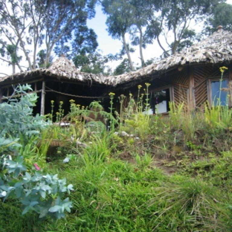 Mount Kilimanjaro View Lodge | Resorts Moshi