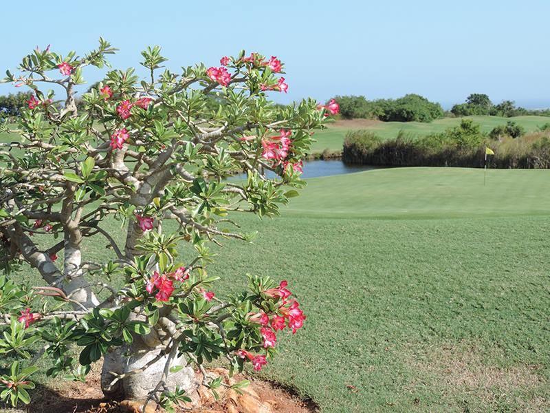 Vipingo Ridge Estate