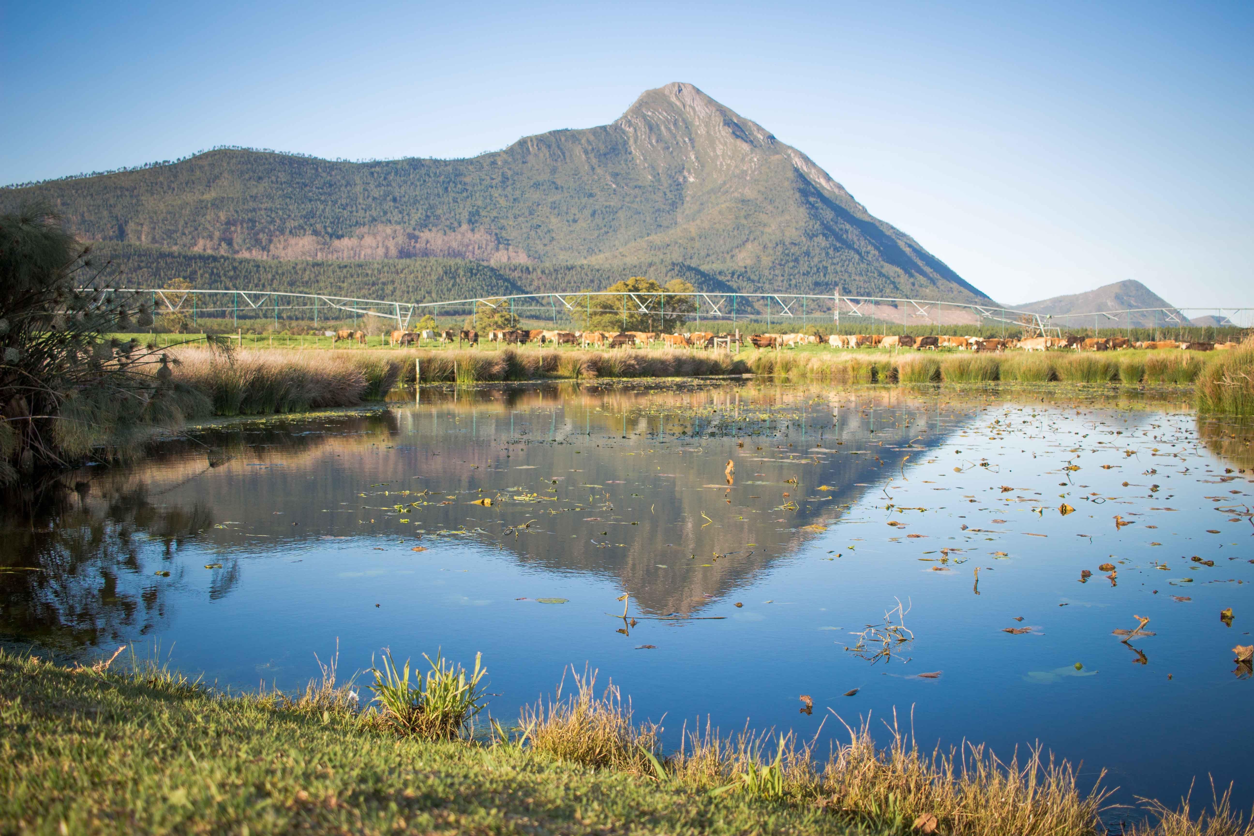 Elandsrivier Guest House | Accommodation Tsitsikamma Area