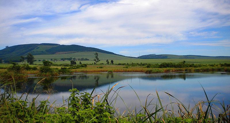 iNsingizi Game Lodge & Spa | Self-catering Mid Illovo