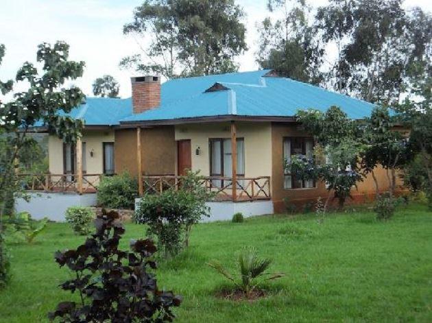 Olea Africana Lodge