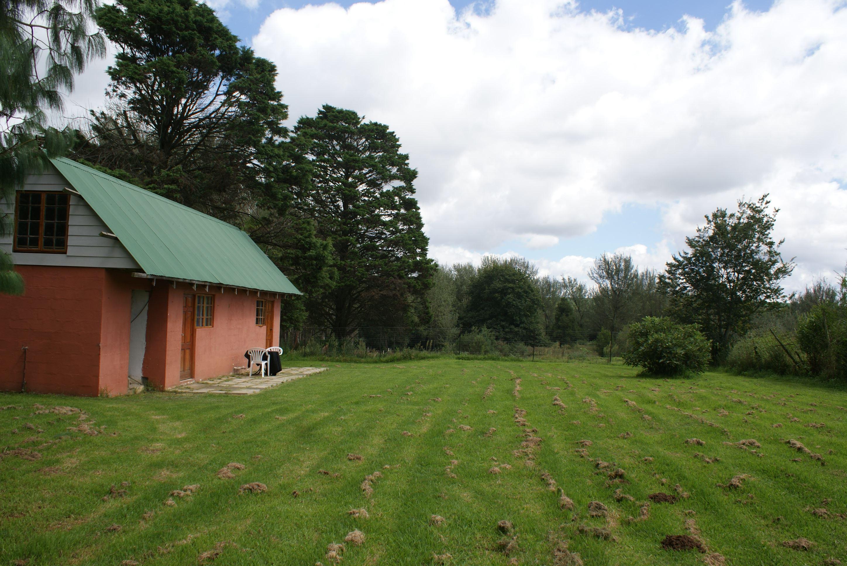 The Wine Cellar Affordable Deals Book SelfCatering or Bed and