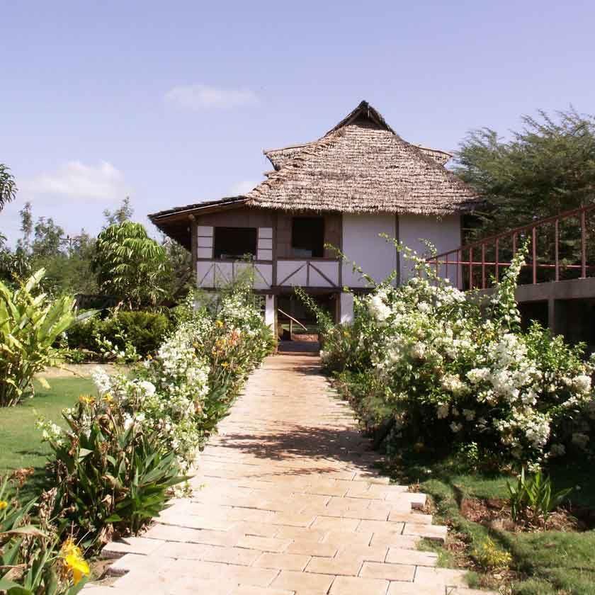 Eileen's Trees Inn | Lodges Karatu