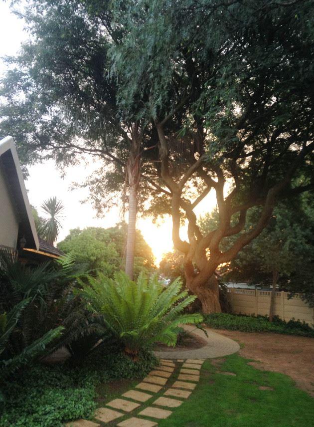 Summer Grace Guest Cottage | Birchleigh AH Accommodation