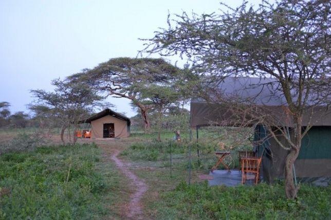 Wildlands Camp | Serengeti National Park Accommodation