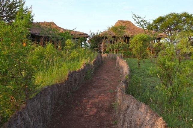 Ngorongoro Forest Tented Lodge | Accommodation Ngorongoro Crater Conservancy