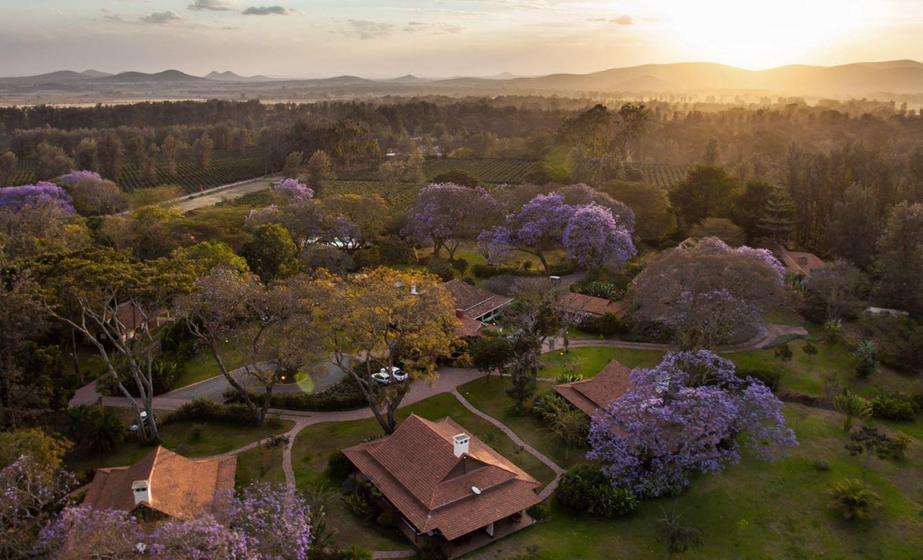 Legendary Lodge | Lodges Arusha