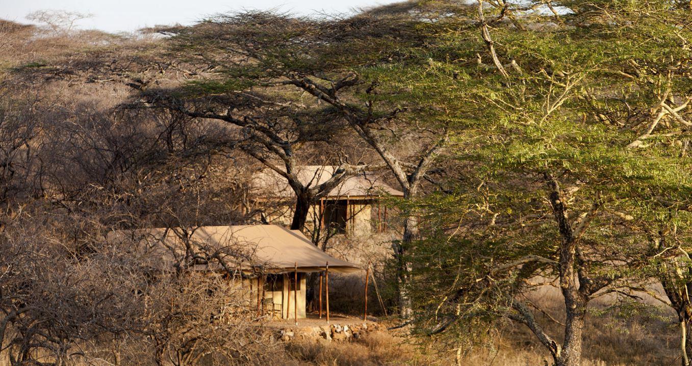 Mwiba Tented Camp | Accommodation Serengeti National Park