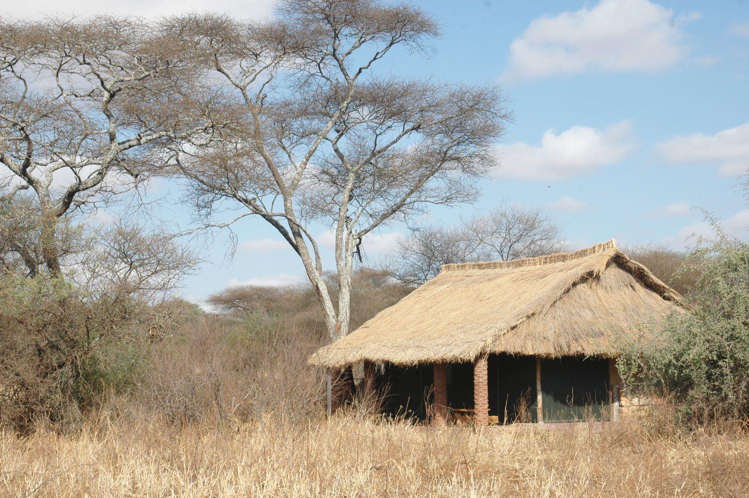 Naitolia Camp | Accommodation Tarangire National Park