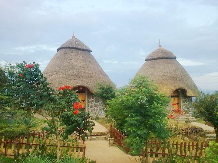 Paradise Lodge | Awasa Lodges