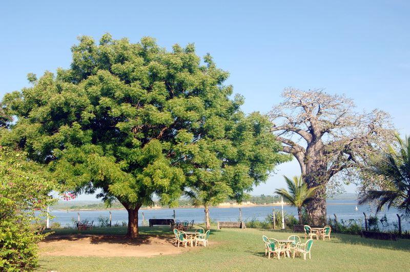 Mkonge Hotel | Tanga Accommodation