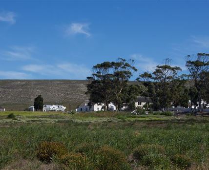 Springfield Farm