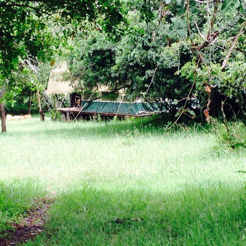 Olkoroi Camp | Accommodation Loita Hills