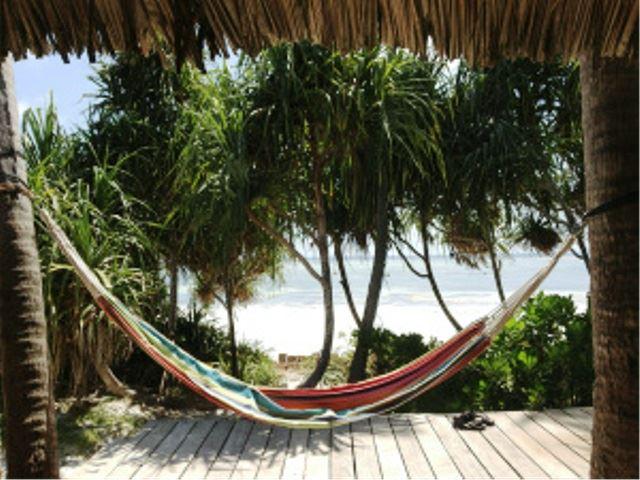 Hammock 