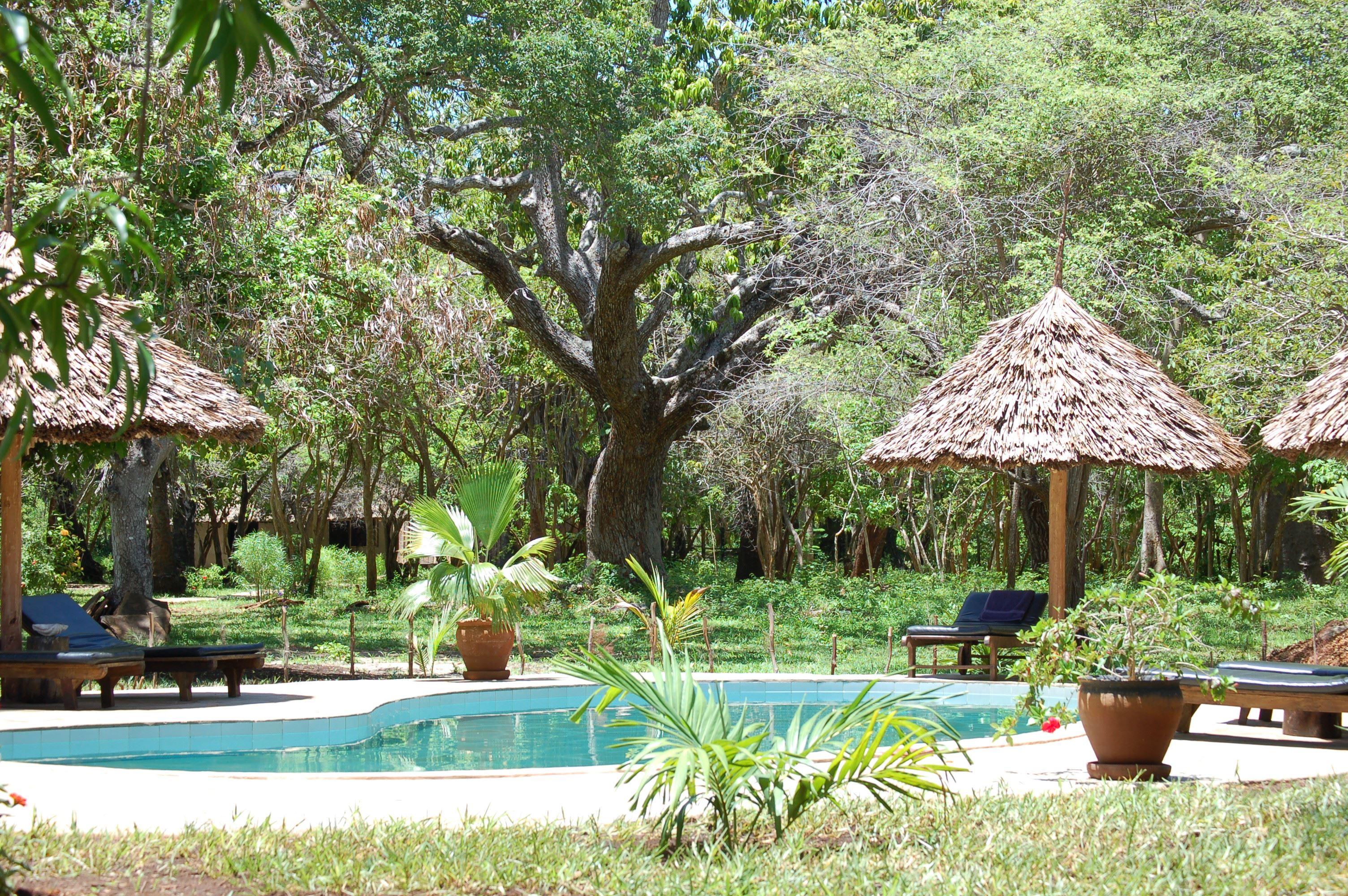 Funzi Mangrove Resort | Funzi Resorts