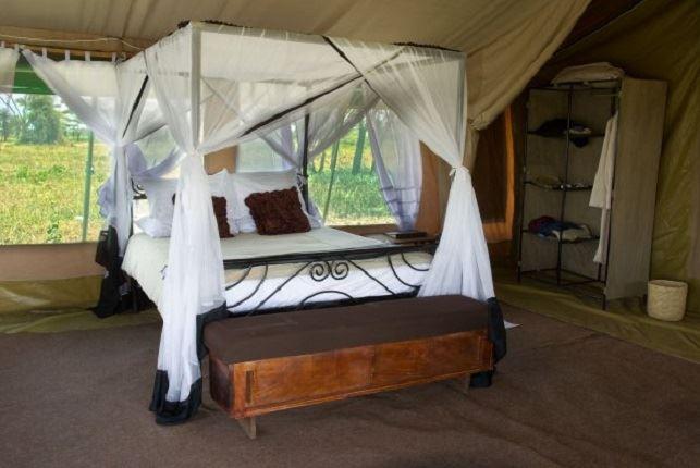 Nasikia Tarangire Camp