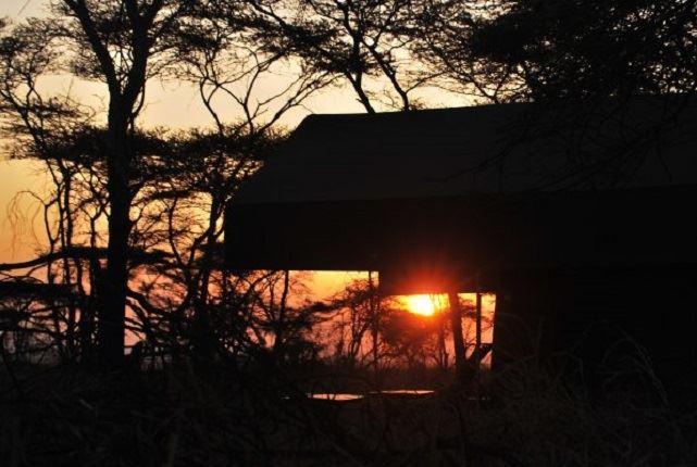 Nasikia Tarangire Camp | Accommodation Tarangire National Park